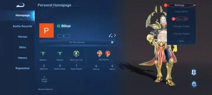 Honor of Kings profile settings showing the View UID option