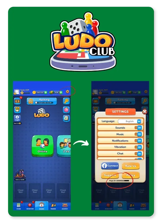 Ludo Club settings window showing the player ID