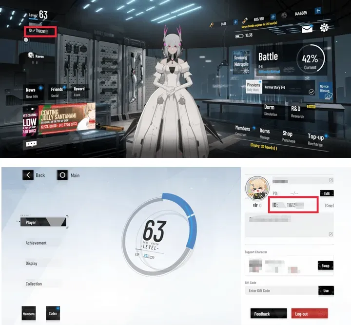 Punishing: Gray Raven profile showing the eight-digit Role ID