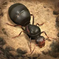 The Ants: Underground Kingdom logo