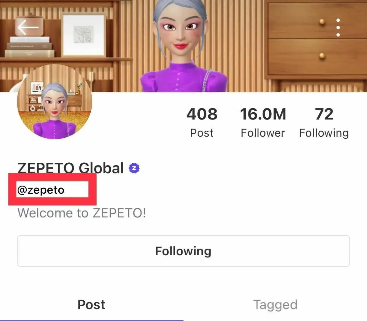 ZEPETO profile showing the username under the photo